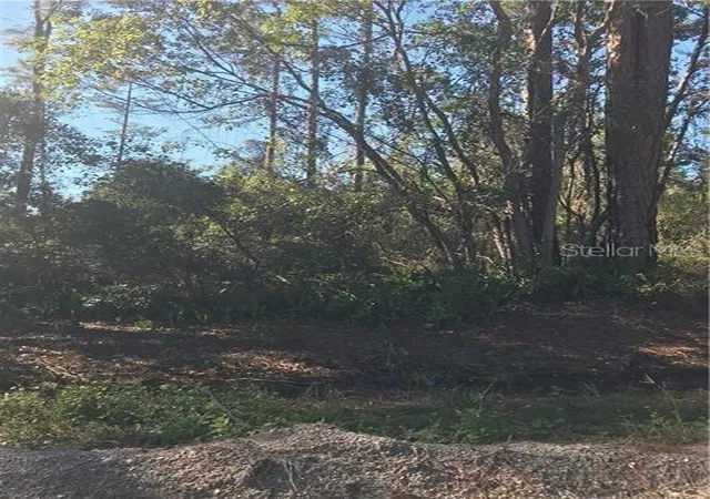 Land for sale at Hill Paper Ave, DELTONA, FL 32725 | MLS# V4712920