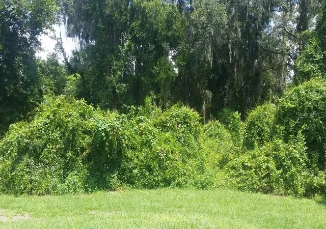 Photo 3 of Sale Pending at 827 Debary Ave, Deltona, FL 32725 | MLS# V4720256 | Listing updated on 2026-04-27