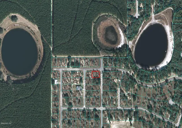 1st image of 00 Malauka Trail Crse, Ocklawaha, FL 32179 | MLS# OM523092