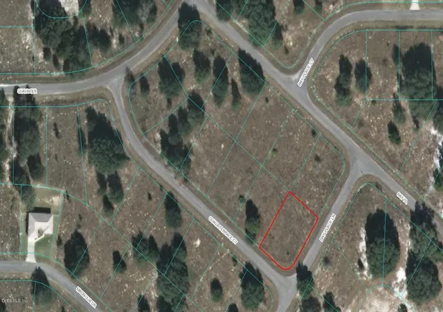 1st image of 00 Guava Terrace Ct, Ocklawaha, FL 32179 | MLS# OM523093