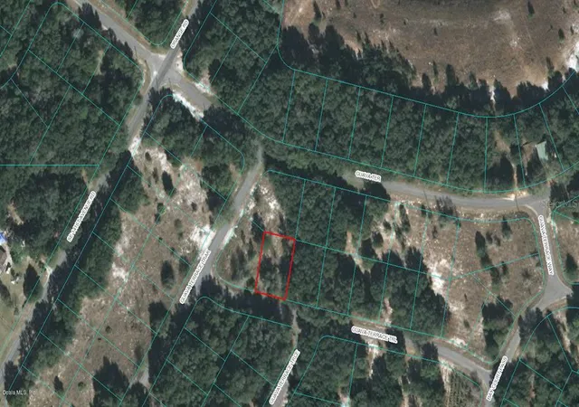 1st image of 00 Guava Terrace Trl, Ocklawaha, FL 32179 | MLS# OM523122