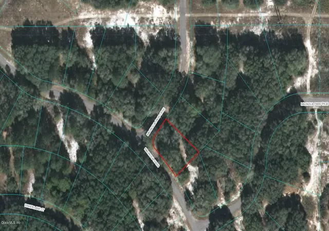 1st image of 00 Magnolia Pass Crse, Ocklawaha, FL 32179 | MLS# OM523123