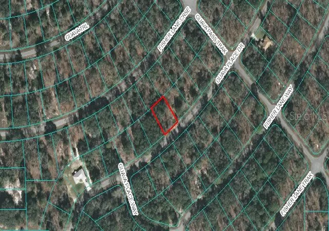 1st image of 00 Guava Pl Dr, Ocklawaha, FL 32179 | MLS# OM618727