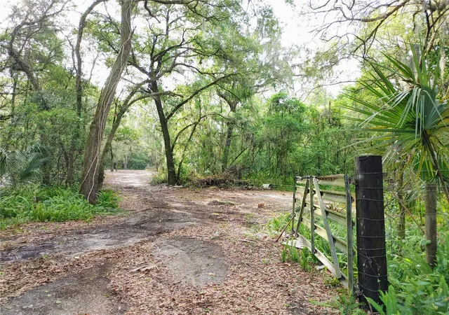 Photo 1 of Land for sale at 7819 E Elm St, Tampa, FL 33610 | MLS# T3312366 | Listing updated on 2026-10-28