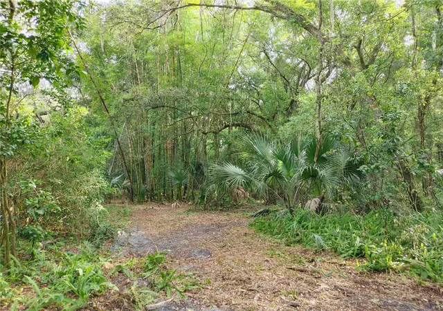 Photo 2 of Land for sale at 7819 E Elm St, Tampa, FL 33610 | MLS# T3312366 | Listing updated on 2026-10-28