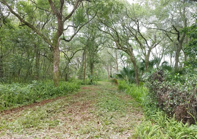 Photo 3 of Land for sale at 7819 E Elm St, Tampa, FL 33610 | MLS# T3312366 | Listing updated on 2026-10-28