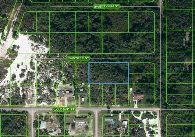 1st image of 1515 Raintree St, Lake Placid, FL 33852 | MLS# OM624735