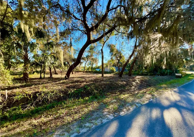 3rd image of Lot 66 & Lot 67 Ashley St, Hawthorne, FL 32640 | MLS# GC379557