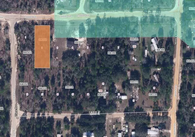 Photo 3 of Land for sale at 115 London Ave, Interlachen, FL 32148 | MLS# OM626673 | Listing updated on 2025-12-29