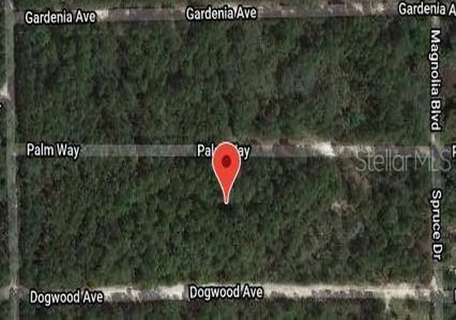 Photo 2 of Land for sale at 117 Palm Way, Georgetown, FL 32139 | MLS# OM627893 | Listing updated on 2025-11-21