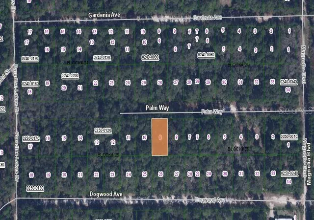 Photo 3 of Land for sale at 117 Palm Way, Georgetown, FL 32139 | MLS# OM627893 | Listing updated on 2025-11-21