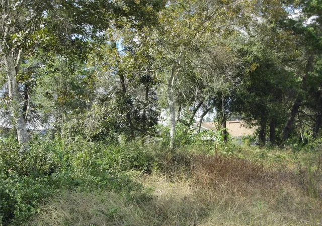 2nd image of 1684 Catalina Blvd, Deltona, FL 32738 | MLS# O5983715