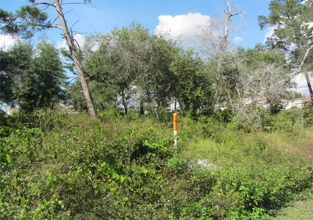 4th image of 1684 Catalina Blvd, Deltona, FL 32738 | MLS# O5983715