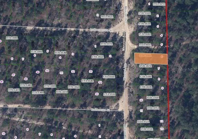 Photo 2 of Land for sale at 156 Missouri Ave, Hawthorne, FL 32640 | MLS# OM629906 | Listing updated on 2026-02-23