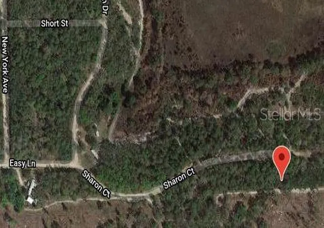 Photo 2 of Land for sale at 153 Sharon Dr, Satsuma, FL 32189 | MLS# OM629911 | Listing updated on 2026-10-22