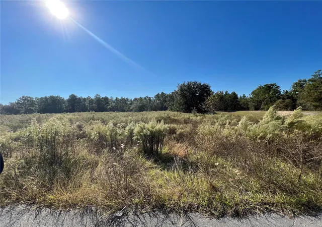Photo 4 of Land for sale at 12160 Kadri Blvd, Spring Hill, FL 34608 | MLS# W7839798 | Listing updated on 2026-03-04