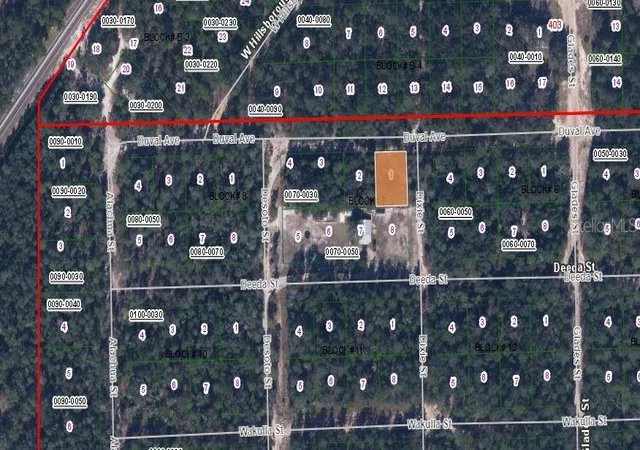 Photo 3 of Land for sale at 115 Duval Ave, Florahome, FL 32140 | MLS# OM630045 | Listing updated on 2025-11-03