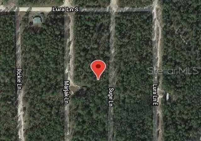 Photo 2 of Land for sale at 313 Suge Ln, Florahome, FL 32140 | MLS# OM631096 | Listing updated on 2025-11-28