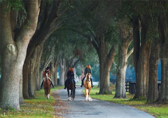 4th image of 0 Se 8Th Ave #Lot 5, Ocala, FL 34480 | MLS# OM634637