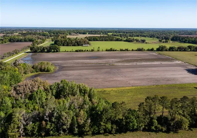 3rd image of 24103 Nw County Road 239, Alachua, FL 32615 | MLS# GC502818