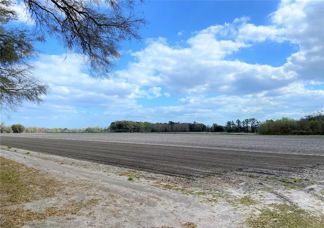 5th image of 24103 Nw County Road 239, Alachua, FL 32615 | MLS# GC502818