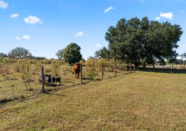 4th image of 0 State Road 52, San Antonio, FL 33576 | MLS# T3357862