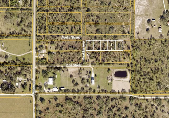 Photo 1 of Land for sale at Verna Rd, Myakka City, FL 34251 | MLS# C7457112 | Listing updated on 2026-10-04