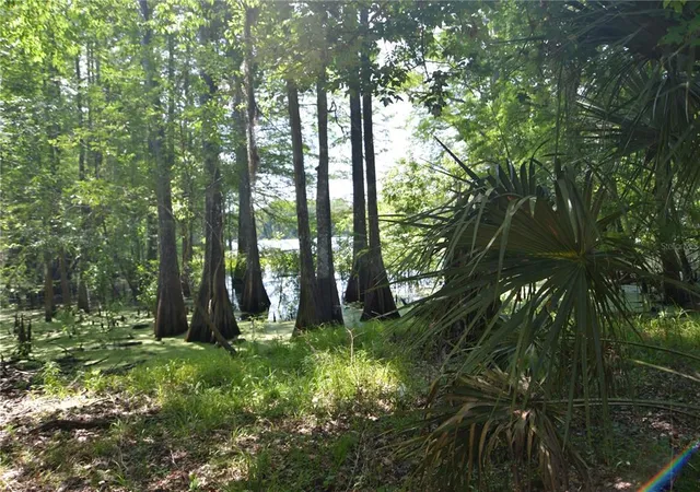 3rd image of Sw 64Th Ave, Bushnell, FL 33513 | MLS# G5054183
