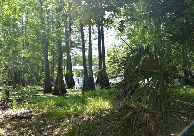 4th image of Sw 64Th Ave, Bushnell, FL 33513 | MLS# G5054183