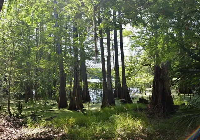 5th image of Sw 64Th Ave, Bushnell, FL 33513 | MLS# G5054183