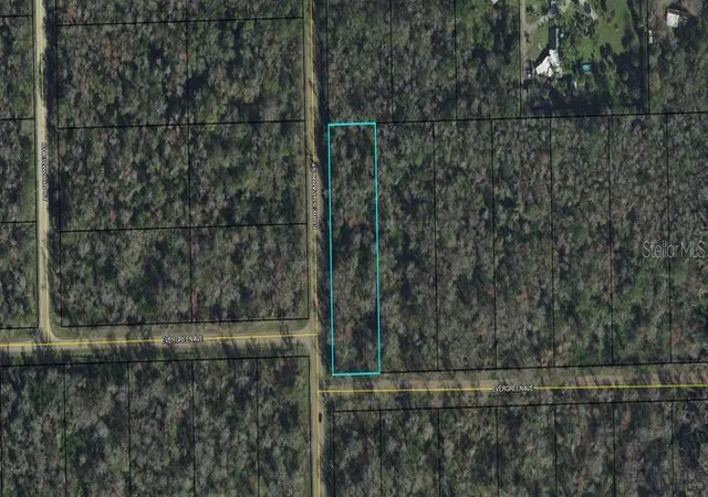 Homes for sale in Bunnell, FL | 3936 Evergreen Ave, Bunnell, FL 32110 | MLS# FC275235