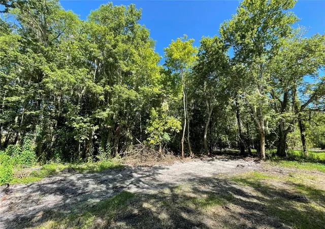 20th image of 16415 Bearle Rd, Orlando, FL 32828 | MLS# O6041970