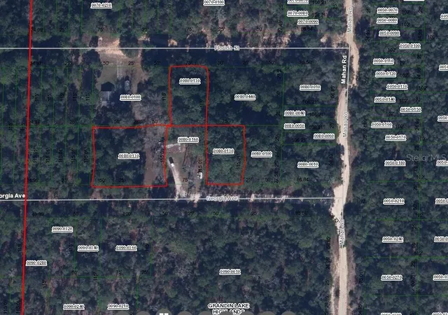 2nd image of 00 Georgia Ave, Interlachen, FL 32148 | MLS# OM642396