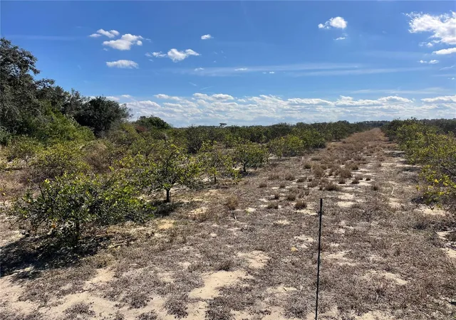 Photo 3 of Land for sale at Lawrence Stewart Rd, Frostproof, FL 33843 | MLS# K4901875 | Listing updated on 2026-09-04