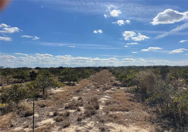 Photo 3 of Land for sale at Lawrence Stewart Rd, Frostproof, FL 33843 | MLS# K4901875 | Listing updated on 2026-09-04
