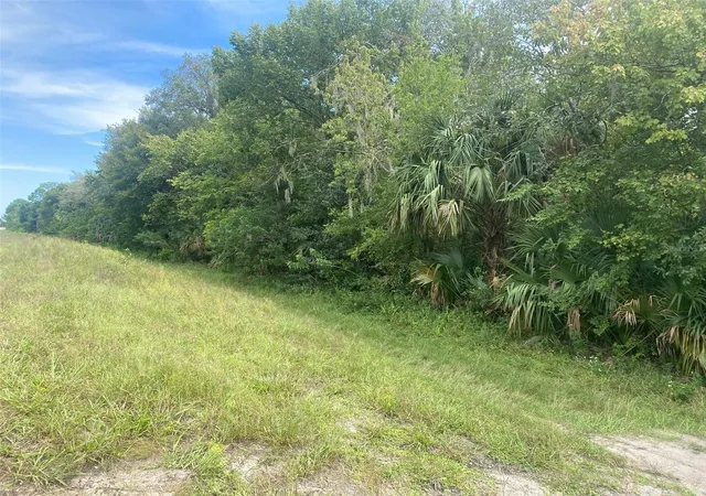 5th image of Grissom Pkwy, Cocoa, FL 32927 | MLS# O6057946