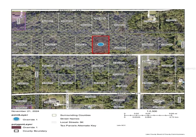 Photo 3 of Land for sale at Quince Ave, Eustis, FL 32736 | MLS# O6062663 | Listing updated on 2026-09-28