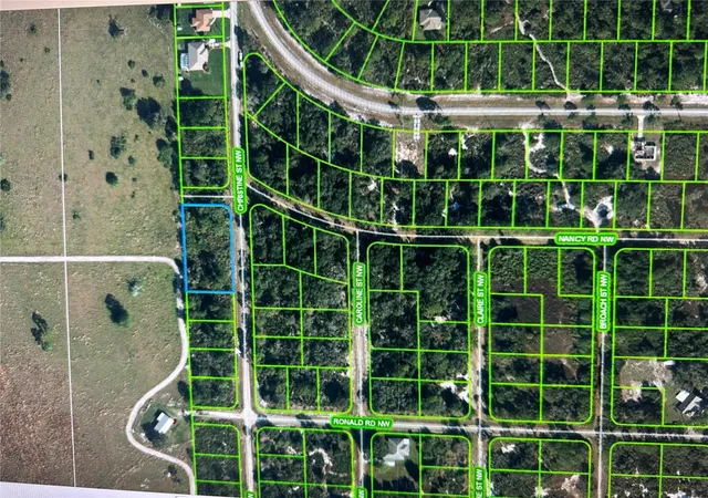2nd image of 316 Christine St Nw, Lake Placid, FL 33852 | MLS# G5064318