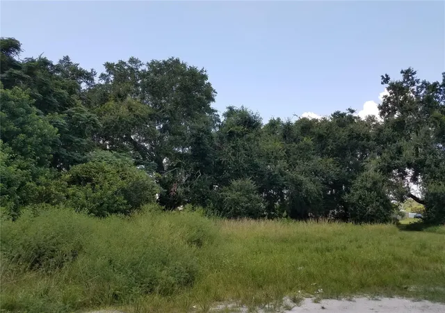 Photo 2 of Land for sale at (Undisclosed), Kissimmee, FL 34744 | MLS# O6086906 | Listing updated on 2026-03-19