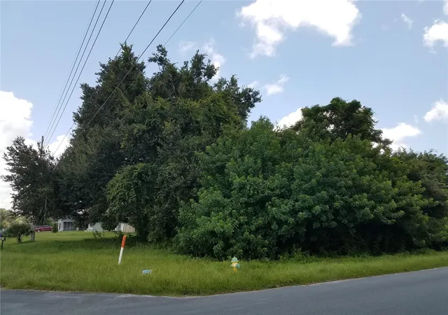 Photo 3 of Land for sale at (Undisclosed), Kissimmee, FL 34744 | MLS# O6086906 | Listing updated on 2026-03-19