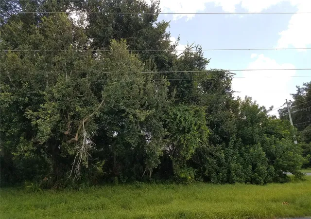 Photo 4 of Land for sale at (Undisclosed), Kissimmee, FL 34744 | MLS# O6086906 | Listing updated on 2026-03-19
