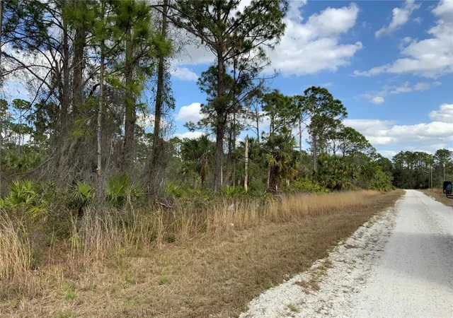 Homes for sale in Alva, FL | 4219 E 30Th St, Alva, FL 33920 | MLS# A4563640