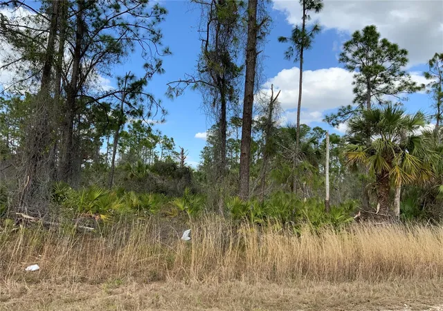 Homes for sale in Alva, FL | 4219 E 30Th St, Alva, FL 33920 | MLS# A4563640