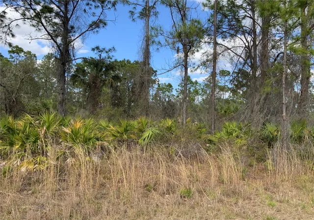 Homes for sale in Alva, FL | 4219 E 30th St, Alva, FL 33920 | MLS# A4563640