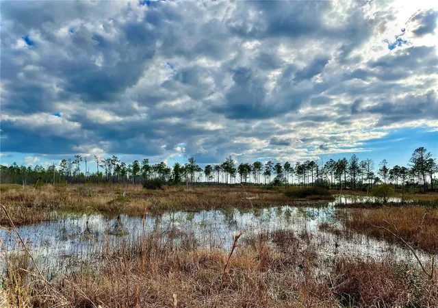 Photo 3 of Land for sale at 19858 State Road 52, Land O Lakes, FL 34637 | MLS# T3433644 | Listing updated on 2026-07-22