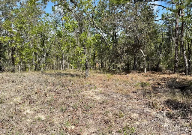 Photo 2 of Land for sale at Lot 6 Se 2 St, Williston, FL 32696 | MLS# OM654893 | Listing updated on 2026-03-23