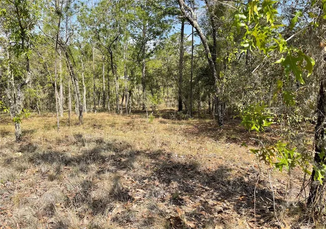 Photo 3 of Land for sale at Lot 6 Se 2 St, Williston, FL 32696 | MLS# OM654893 | Listing updated on 2026-03-23