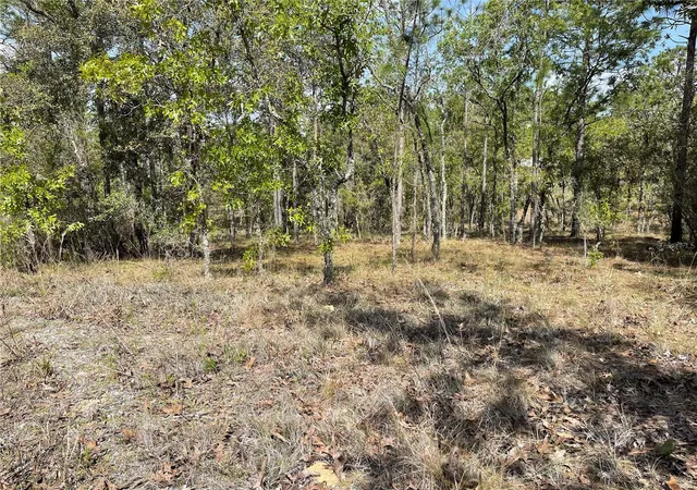 Photo 3 of Land for sale at Lot 6 Se 2 St, Williston, FL 32696 | MLS# OM654893 | Listing updated on 2026-03-23