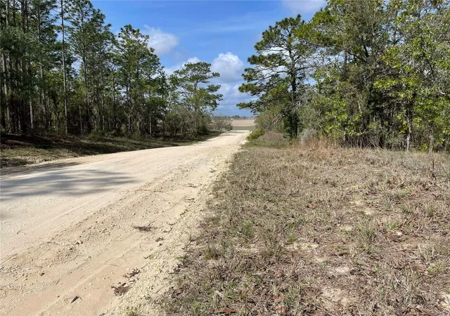 Photo 4 of Land for sale at Lot 6 Se 2 St, Williston, FL 32696 | MLS# OM654893 | Listing updated on 2026-03-23
