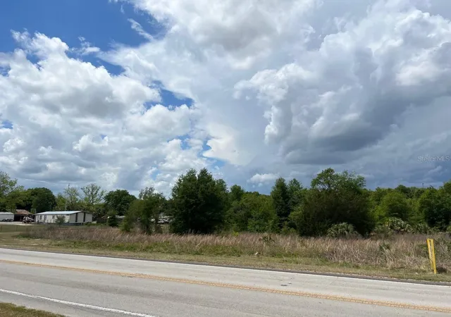 Homes for sale in Weirsdale, FL | S Hwy 25, Weirsdale, FL 32195 | MLS# OM655900